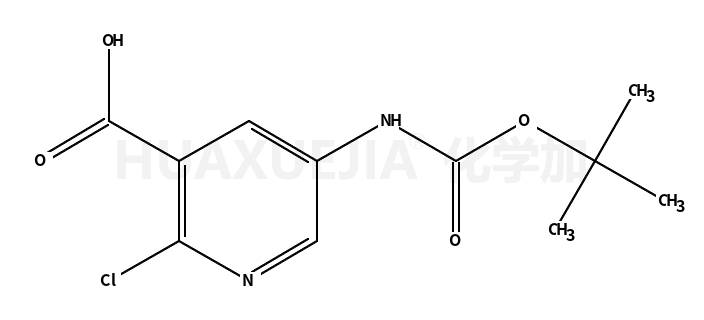 5-叔丁氧羰基氨基-2-氯吡啶-3-羧酸