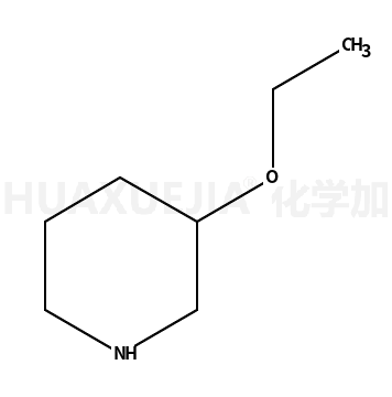 3-乙氧基哌啶