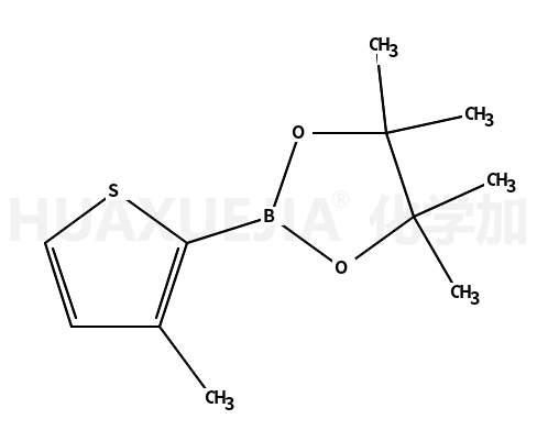 3-甲基噻吩-2-硼酸频哪醇酯