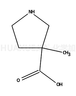 3-甲基-吡咯烷-3-羧酸