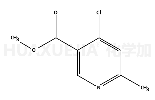 4-氯-6-甲基烟酸甲酯