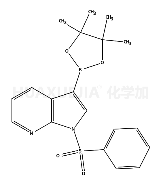 1-苯磺酰基吡咯并吡啶-3-硼酸酯