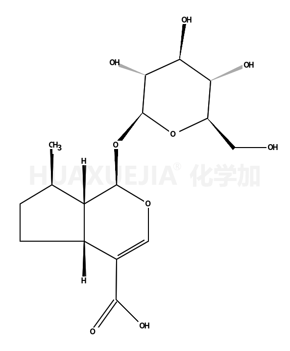 8-Epideoxyloganic acid