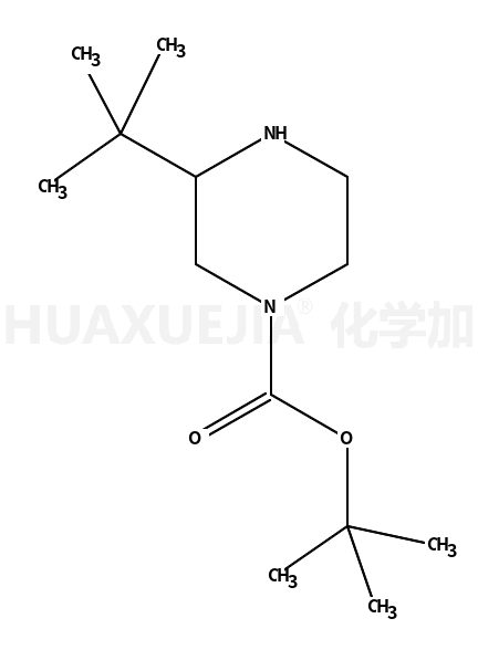 3-叔丁基哌嗪-1-羧酸叔丁酯盐酸盐