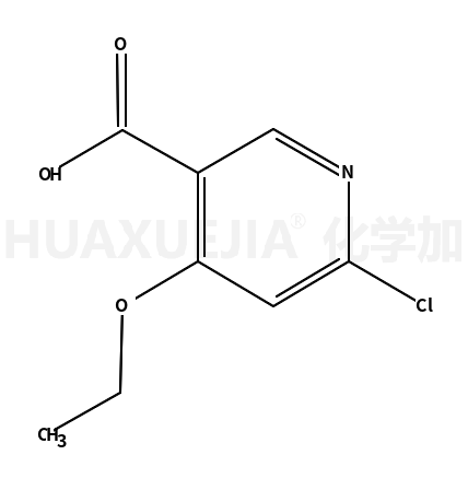 6-氯-4-乙氧基-3-吡啶羧酸