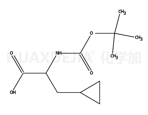 N-boc-环丙基丙氨酸
