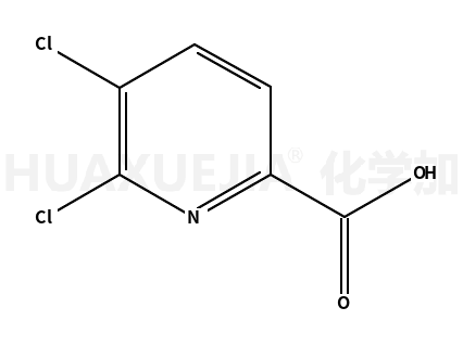 5,6-二氯-2-吡啶甲酸