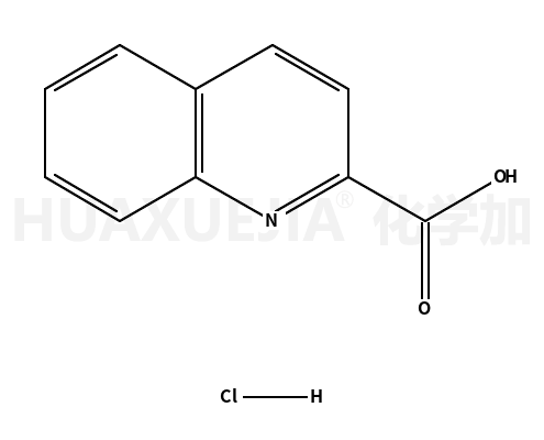2-喹啉羧酸盐酸盐