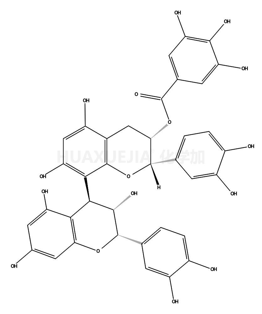 原花青素 B4 3'-O-没食子酸酯