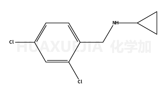 环丙基-(2,4-二氯-苄基)-胺
