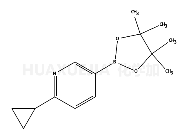 6-环丙基吡啶-3-硼酸频那醇酯