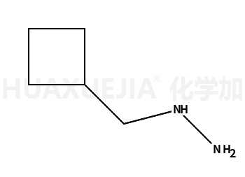 1-(环丁基甲基)肼