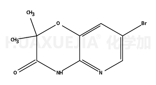 7-溴-2,2-二甲基-2H-吡啶并[3,2-B]-1,4-恶嗪-3(4H)-酮