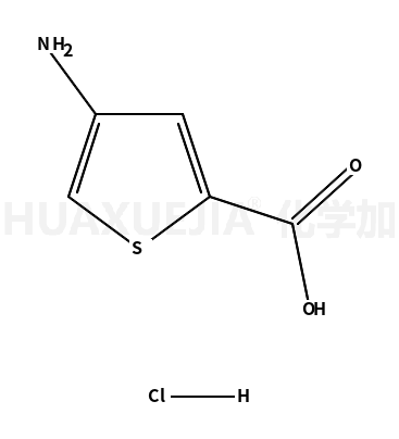 4-氨基-2-噻吩羧酸鹽酸鹽