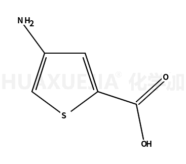 4-氨基噻吩-2-羧酸