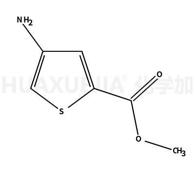 4-氨基噻吩-2-甲酸甲酯