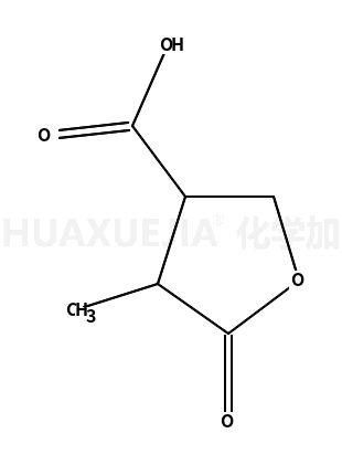 4-甲基-5-氧基-四氢呋喃-3-羧酸