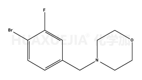 4-(4-溴-3-氟苯甲基)吗啉