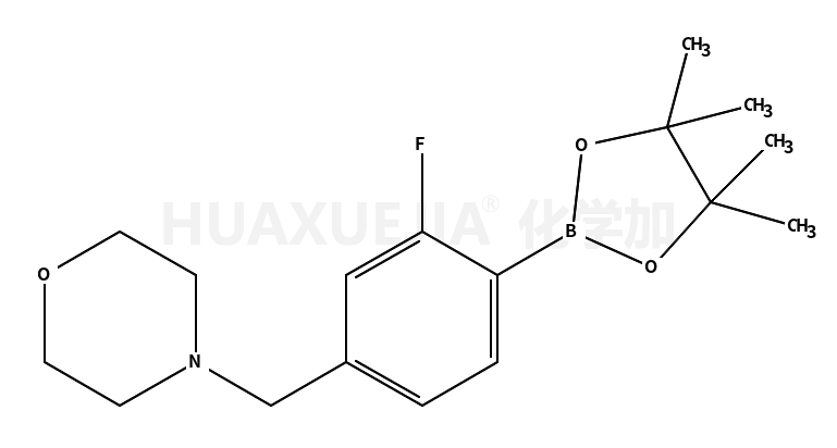 2-氟-4-(吗啉代甲基)苯基硼酸盐酸盐
