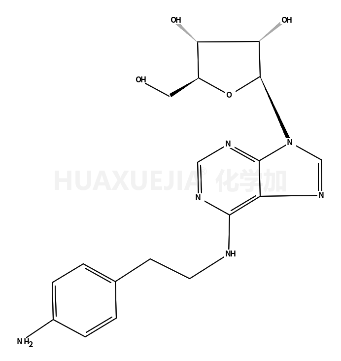 2-(4-氨基苯基)乙基腺苷-5'-羧酸