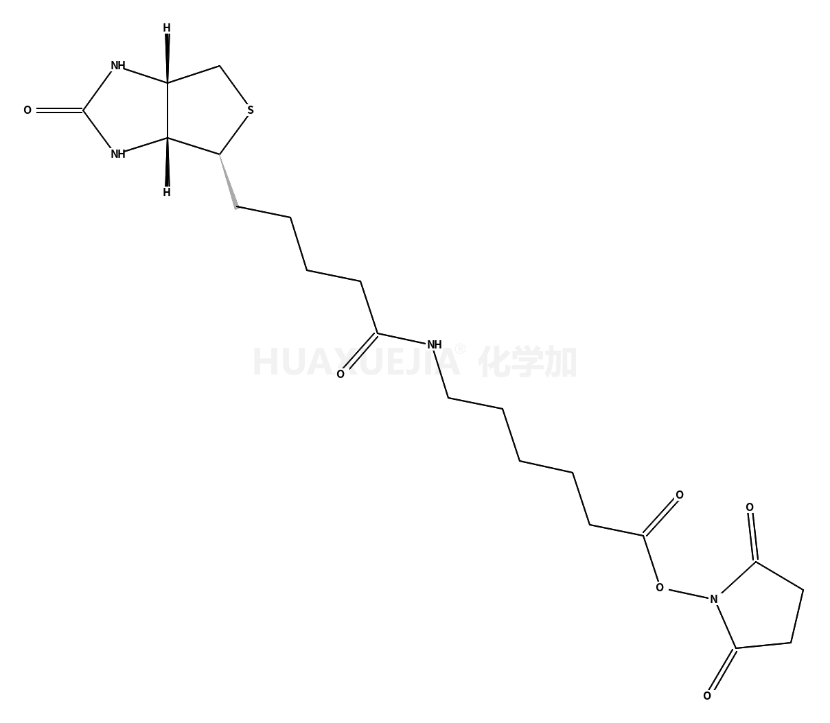 联锡酰氨基己酰-6-氨基己酸N-羟基琥珀酰亚胺酯