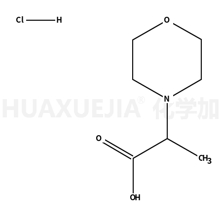 2-吗啉-4-基丙酸盐酸盐