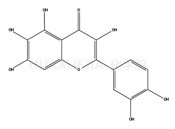 六羟黄酮/栎草亭