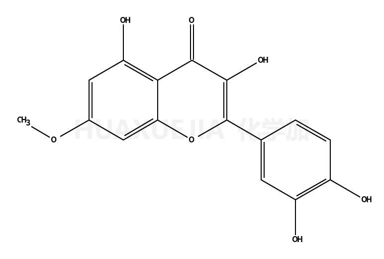 7-O-Methyl Quercetin