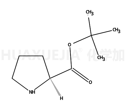 D-脯氨酸-叔丁酯