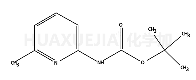 6-甲基吡啶-2-氨基甲酸叔丁酯