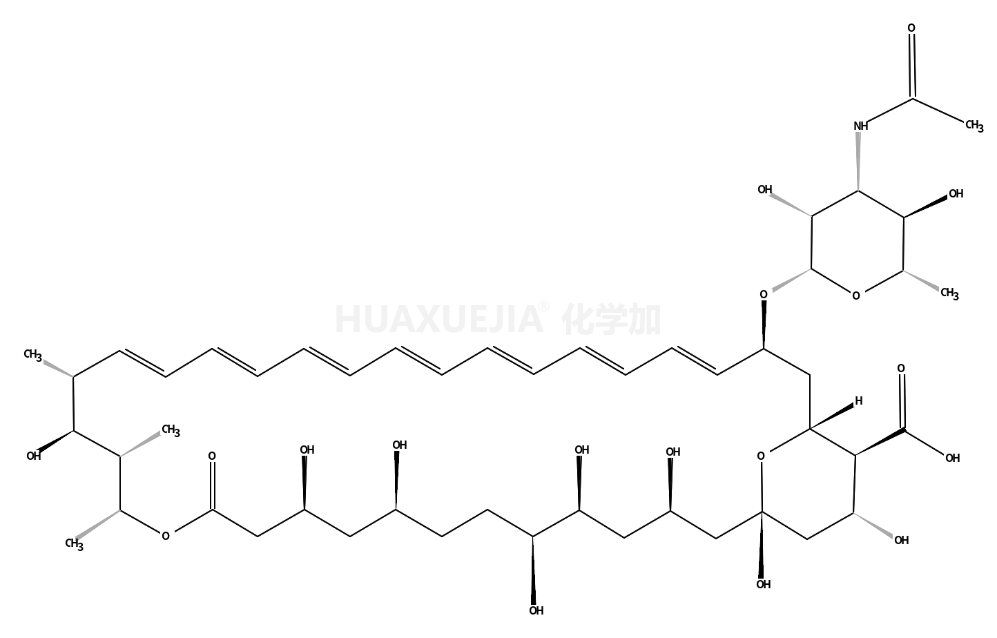 N-乙酰两性霉素B