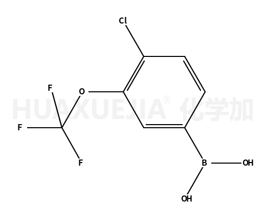 [4-氯-3-(三氟甲氧基)苯基]硼酸