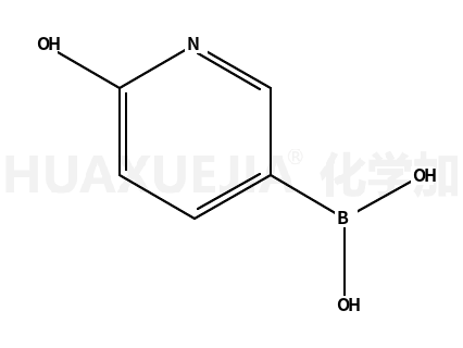 2-羟基吡啶-5-硼酸