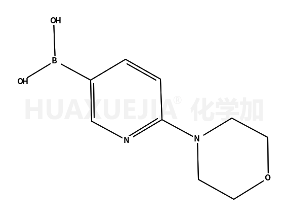 6-(4-吗啉基)-3-吡啶硼酸