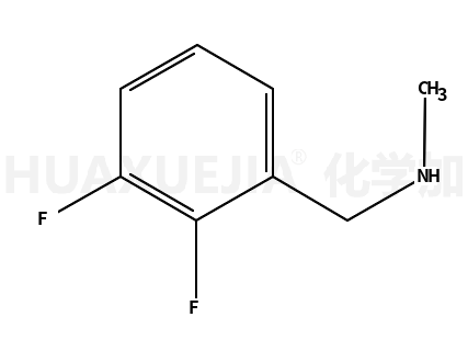 N-甲基-2,3-二氟苄胺