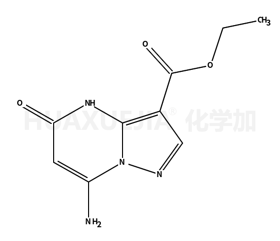 7-氨基-5-羟基吡唑并[1,5-a]嘧啶-3-羧酸乙酯