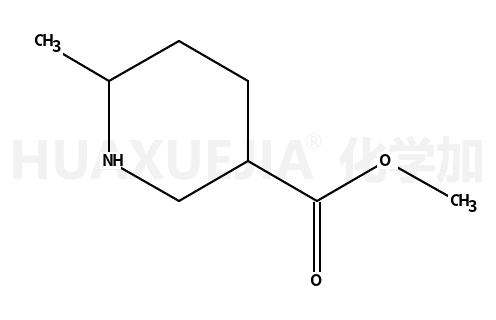 6-甲基-3-哌啶甲酸甲酯
