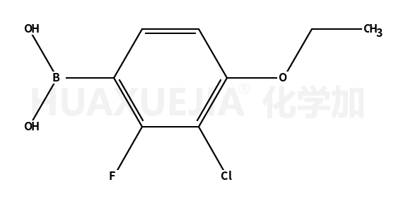 2-氟-3-氯-4-乙氧基苯硼酸