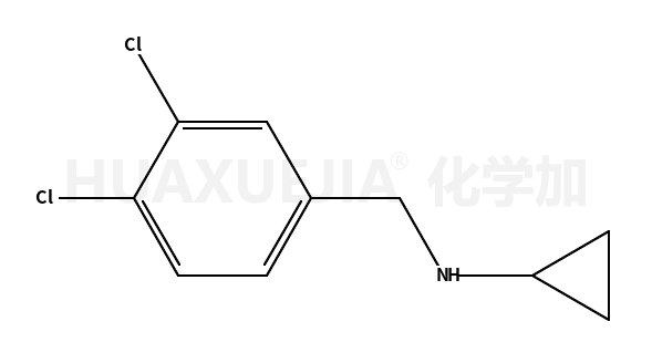 环丙基-(3,4-二氯-苄基)-胺
