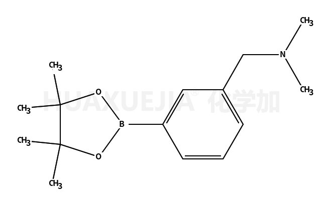 N,N-二甲基-1-(3-(4,4,5,5-四甲基-1,3,2-二噁硼烷-2-基)苯基)甲胺