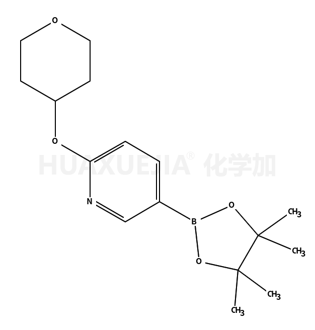 2-[(四氢-2H-吡喃)氧基]-5-(4,4,5,5-四甲基-1,3,2-二氧硼烷)-吡啶