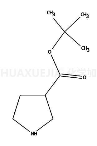 吡咯烷-3-羧酸叔丁酯