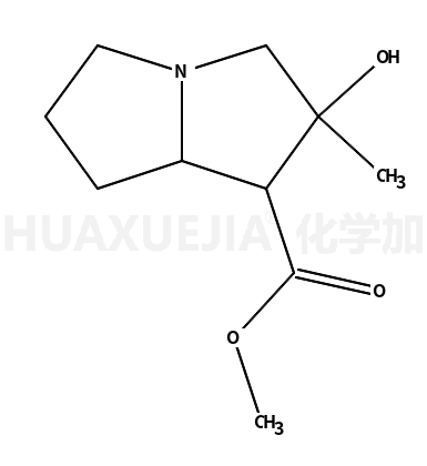 Isotussilagine