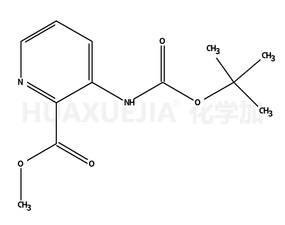 3-(BOC-氨基)吡啶甲酸甲酯