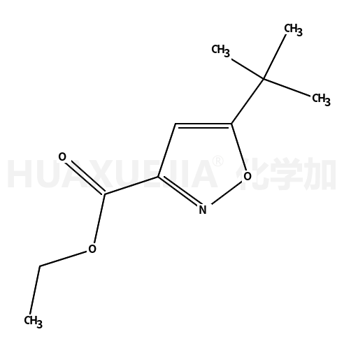 5-叔丁基基-异噁唑-3-甲酸乙酯