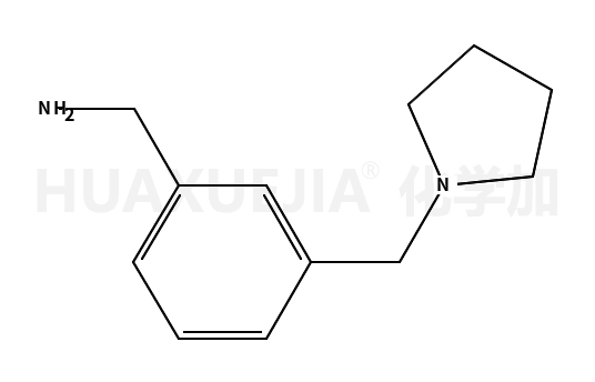 [3-(1-吡咯烷基甲基)苯基]甲胺