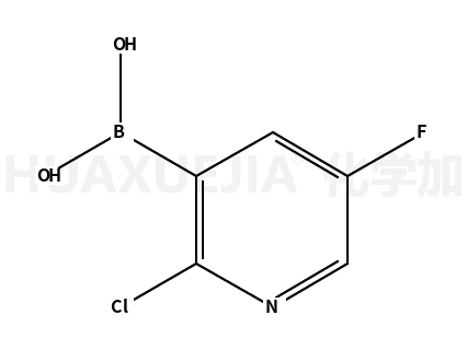 2-氯-5-氟吡啶-3-硼酸