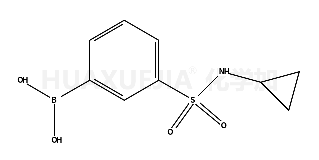 N-环丙基-3-硼苯磺酰胺