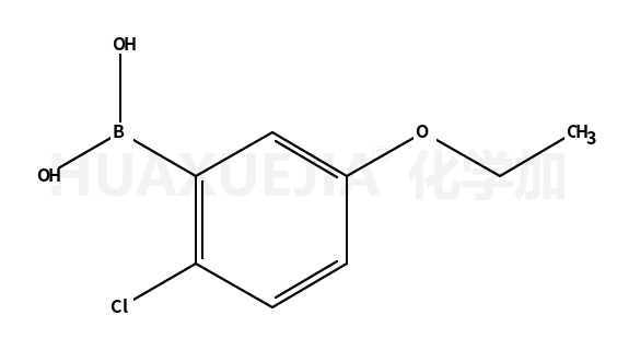 2-氯-5-乙氧基苯硼酸