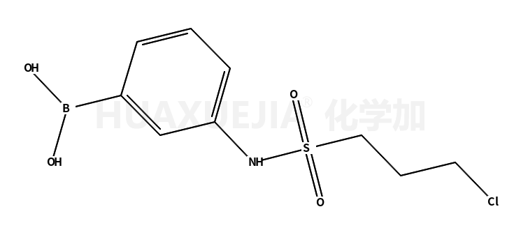 3-(3-氯丙基磺酰氨基)苯基硼酸